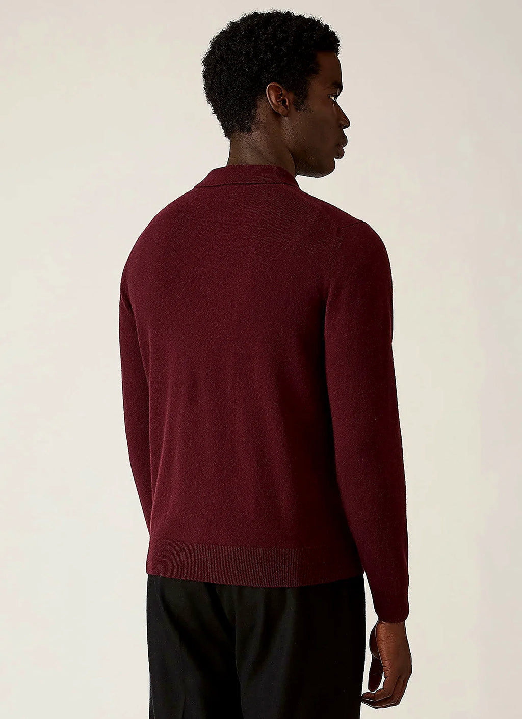Men's cashmere knitted polo shirt in Bakelite