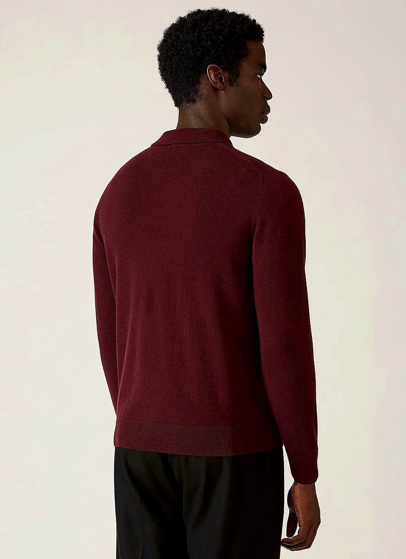 Men's cashmere knitted polo shirt in Bakelite